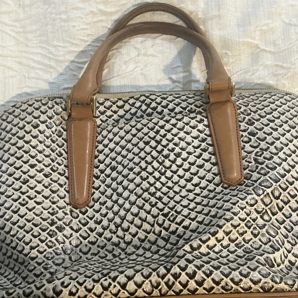 Brahmin vivian onyx